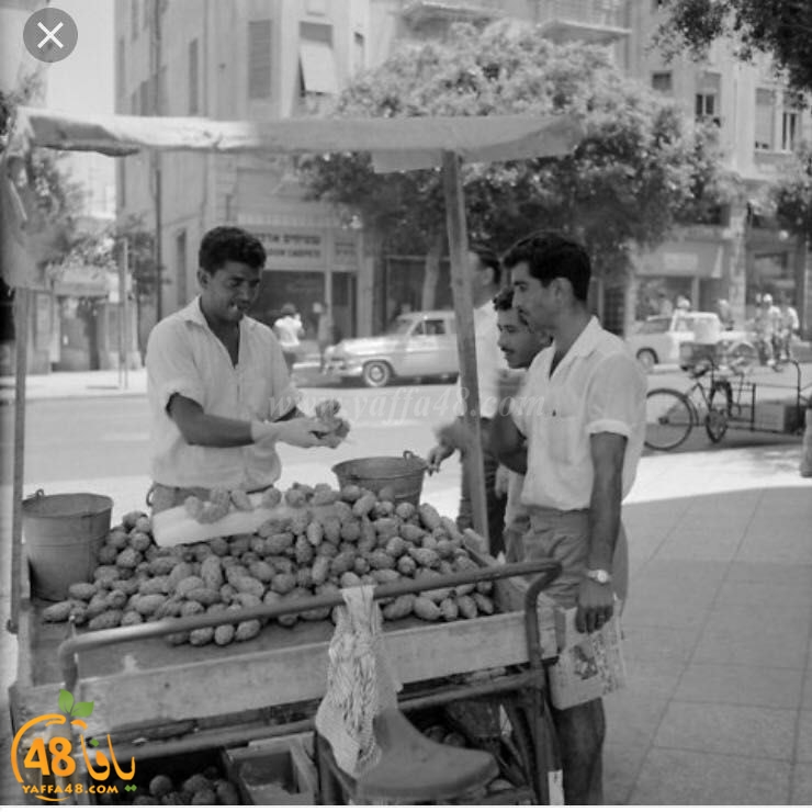 yaaffa oldjer (4).jpg